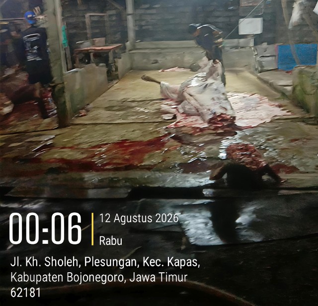 Jagal Liar Sapi di Bojonegoro Memicu Keresahan Warga
