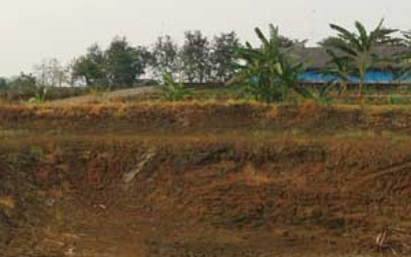 Kebijakan Air Bojonegoro Gagal Atasi Ancaman Musim Kemarau