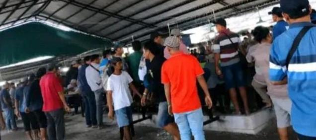 Sabung Ayam Klurak Sidoarjo Diduga Jadi Lapak Judi