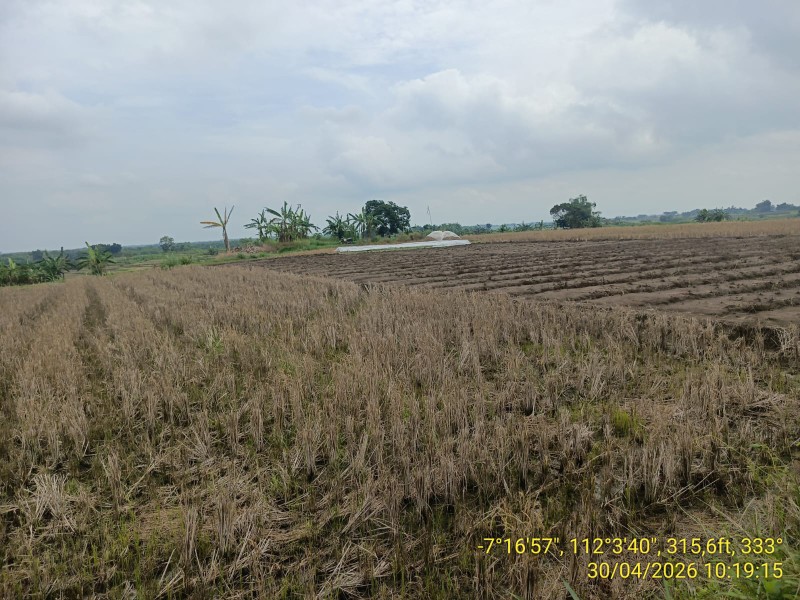 Krisis Air Bojonegoro, Petani Kedungadem Menanti Respons Pemerintah